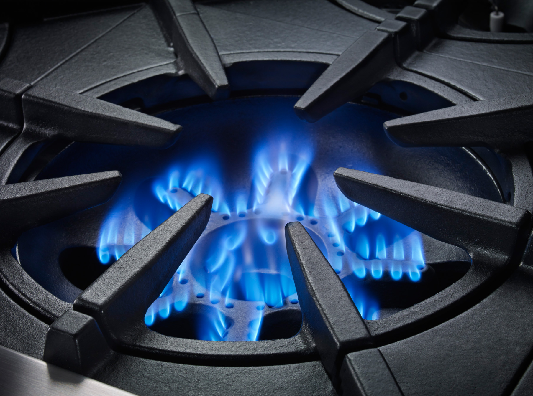 bluestar platinum range burner