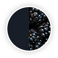 Blackberry Color Swatch Blackberry Color Swatch