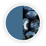 Blueberry Color Swatch Blueberry Color Swatch