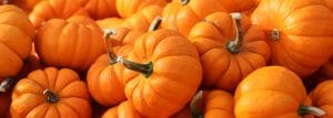 Spice up your fall with these pumpkin recipes from BlueStar