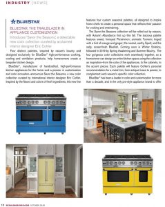 BlueStar Featured in The Retail Observer
