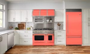 BlueStar kitchen inspired by the 2019 Color of the Year