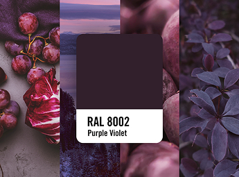 2026 Color of the year