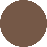 Pale Brown - RAL 8025